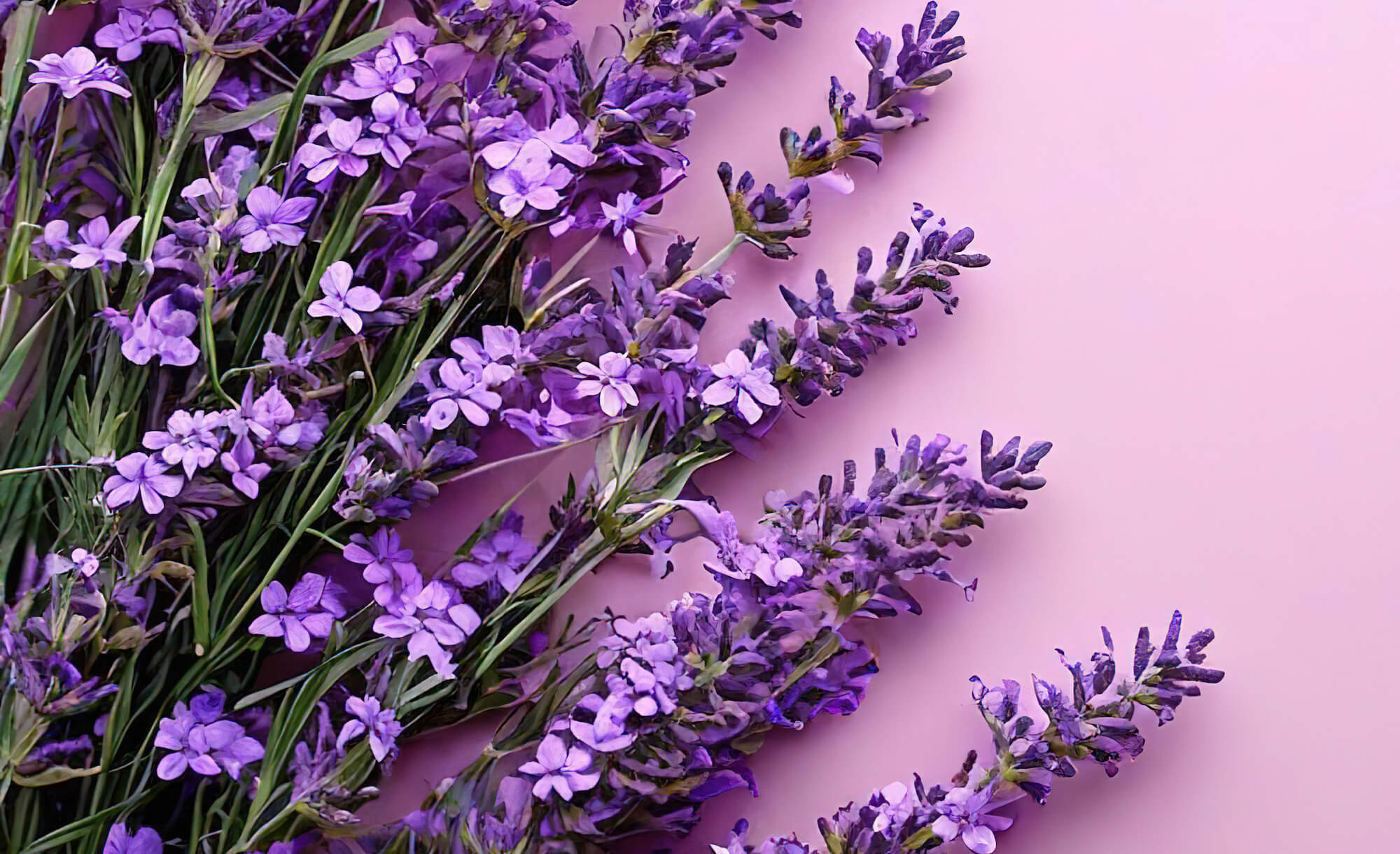 Lavender & Cedarwood